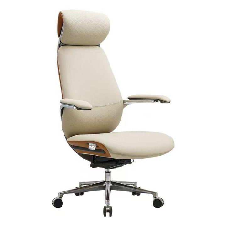 Executive Comfort Pro Ergonomic Office Chair