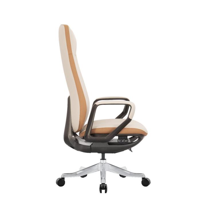 Astra Comfort Ergonomic Executive Chair