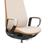 Astra Comfort Ergonomic Executive Chair