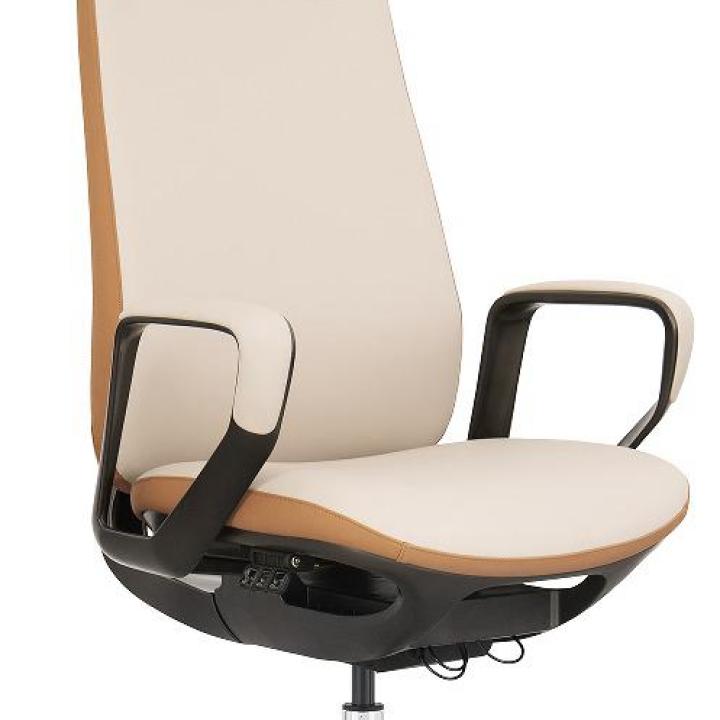 Astra Comfort Ergonomic Executive Chair