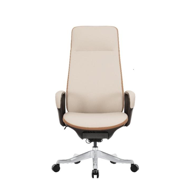 Astra Comfort Ergonomic Executive Chair